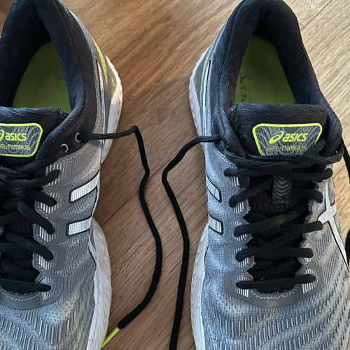 Asics Gel Nimbus 22