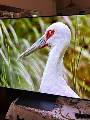 Samsung S90D 55” QD-OLED 4K TV used, 899 hours, with wall mount