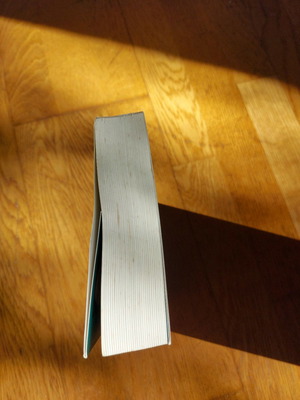 Fantasy book used