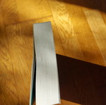 Fantasy book used