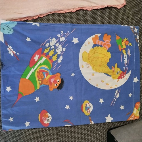 Sesame Street vintage pillowcase and blanket used