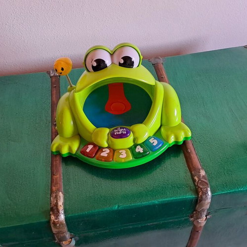 Frog toy bright used with batteries
