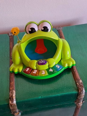 Frog toy bright used with batteries