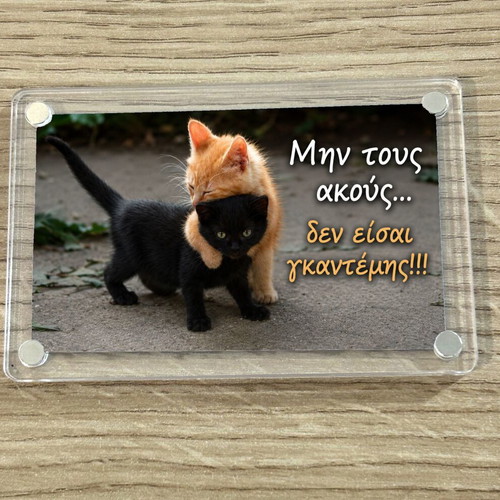 Acrylic fridge magnet 9x6cm "Μην τους ακούς..." new
