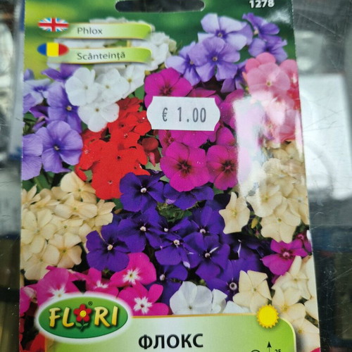 Petunia new seeds with great variety