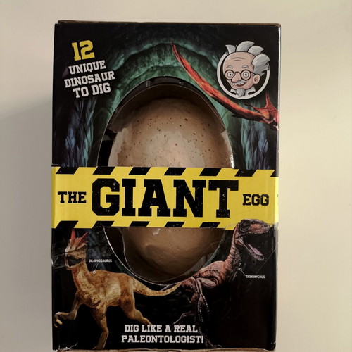 Dinosaur Egg Excavation Set with 12 Miniature Dinosaurs and Tools