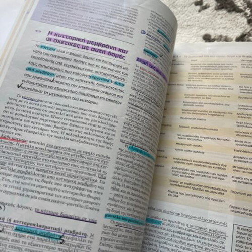 Book Human Physiology like new