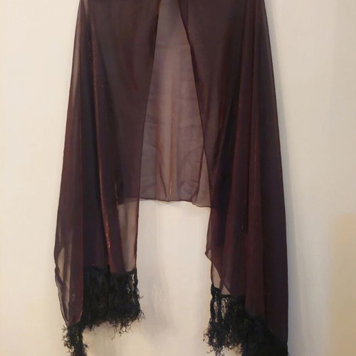 Dark brown scarf used with shimmer and fringes