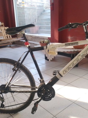 Bicycle like new