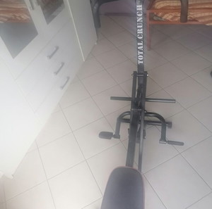 ΟΡΓΑΝΟ ΓΥΜΝΑΣΤΙΚΉΣ