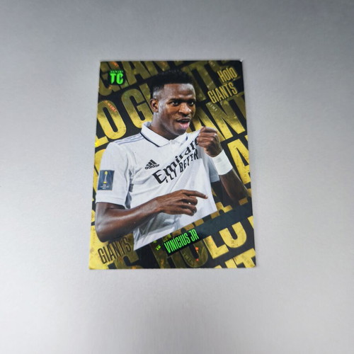 Top Class Holo Giant Vini Jr sticker new