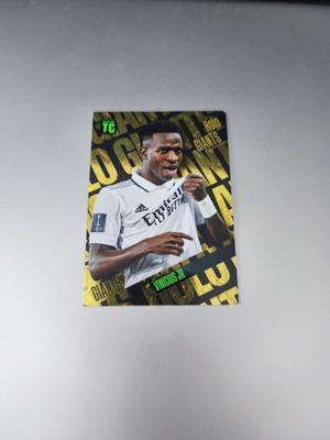 Top Class Holo Giant Vini Jr sticker new