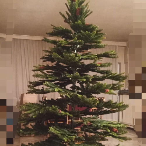 Christmas tree 2.18 meters like new with pine cones