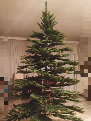 Christmas tree 2.18 meters like new with pine cones