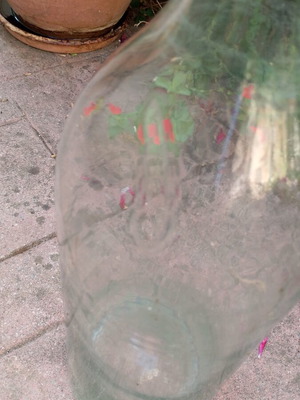 Vintage green glass demijohn used, decorative