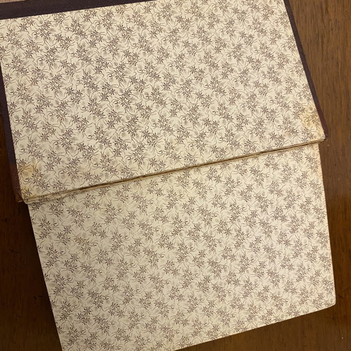 Max Nordau «Paradoxes Psychologiques» used book, Paris edition 1907, leather binding
