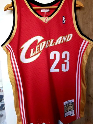 Ανδρική μπασκετική φανέλα Lebron James 2003-2004 καινούργια