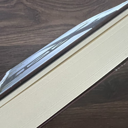 The Last Time I Saw Him by Mat Koen like new, Greek