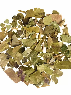 Ivy Leaves New From Hungary