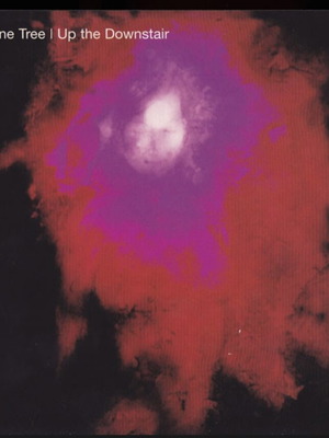 Up The Downstair Porcupine Tree CD като нов, преиздание ремастерирано