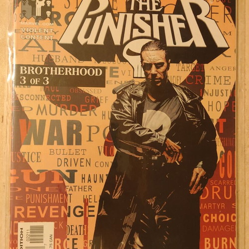 The Punisher #20-22 Marvel Knights comics mint condition
