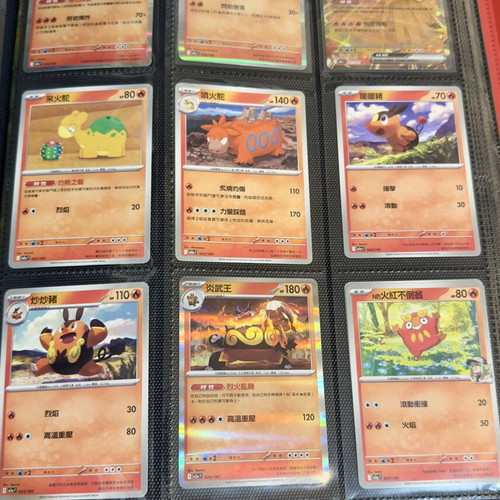 Pokémon Binder with Full 1-193 Ascended Hero Set in Traditional Chinese, mint