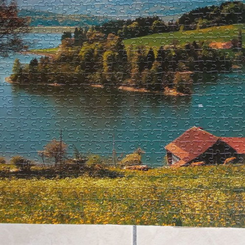 Puzzle board used with 1000 pieces glued on cardboard