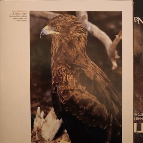 Book Album Kyriarhoi ton Aitheron like new
