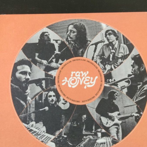 Drugdealer Raw Honey CD like new, rock