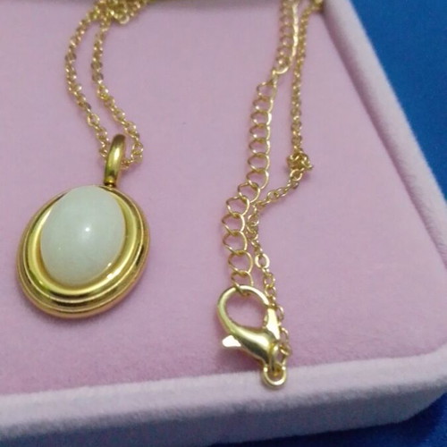 Steel pendant gold plated new in gift box