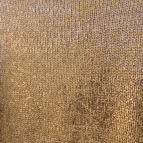 Trussardi Jeans Bronze Ombre Top New Gold