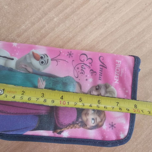 Frozen pencil case used, large school