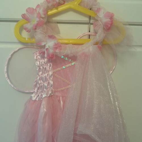 Fairy carnival costume 2-3 years like new
