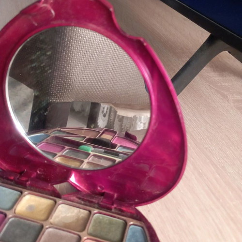 Casuelle eyeshadow and blush palette used