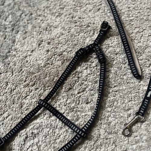 Nobby harness and leash set unused, Soft Grip Preno series