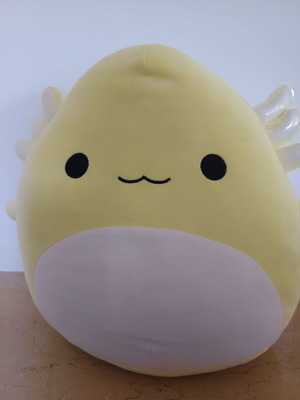 Squishmallows Treyton Axolotl plush like new