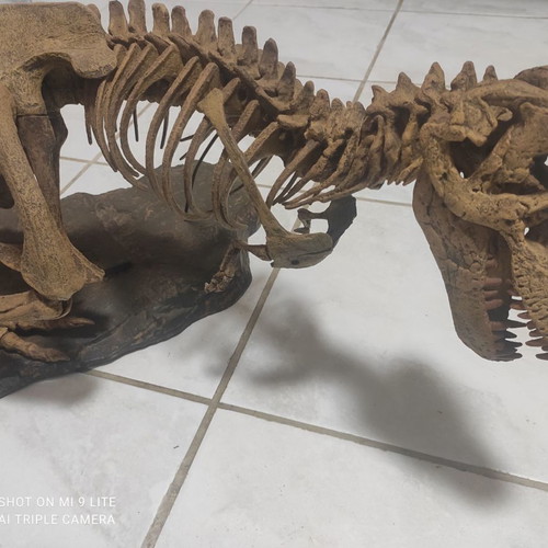 Tyrannosaurus Rex used decorative model, scale 1:10