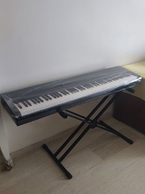 Artesia PA-88H digital piano like new with Audio Master stand