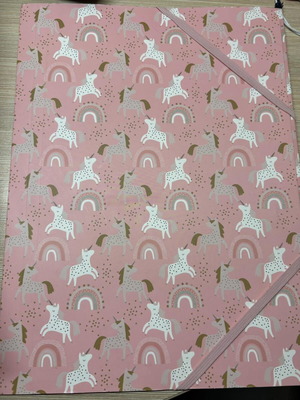 Folder with elastic band new