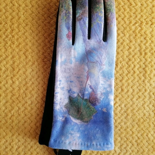 Pashmina and gloves set new