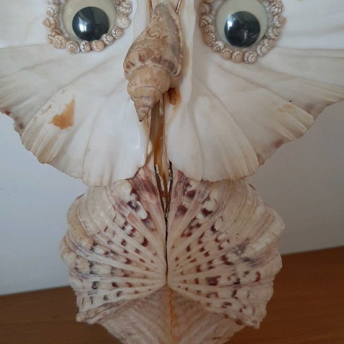 Decorative owl figurine made of large shells used