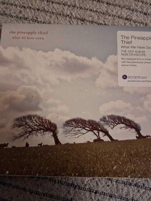 The Pineapple Thief What We Have Sown CD deluxe like new, prog rock, slipcase