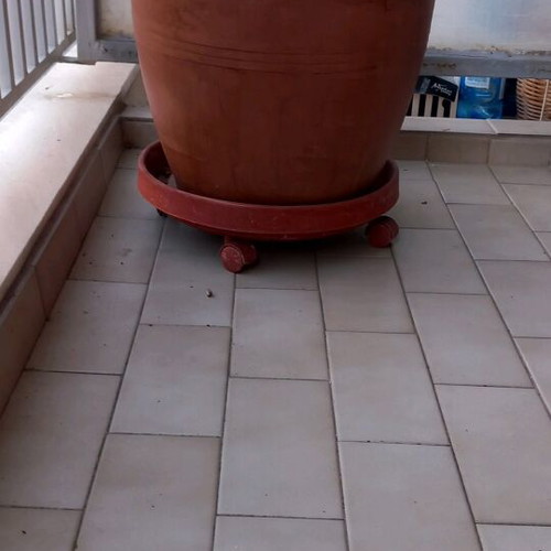 Flower pots three large with simple saucer and saucer with wheels