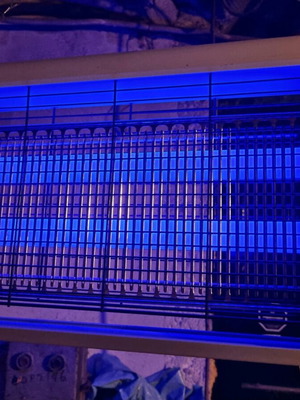 Electric insect trap for mosquitoes like new