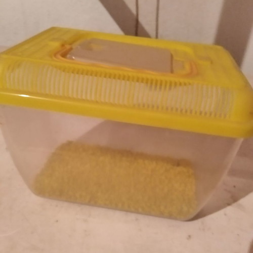 Aquarium used portable case with bottom stones