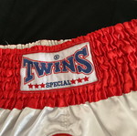 Twins martial arts shorts, men's size L, like new