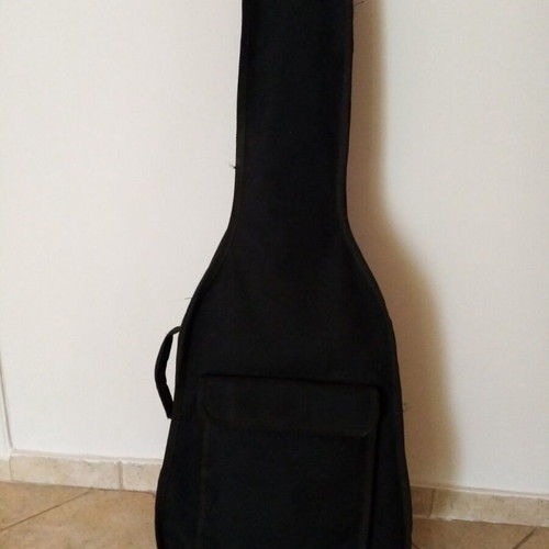 Classical guitar Ariana used with case