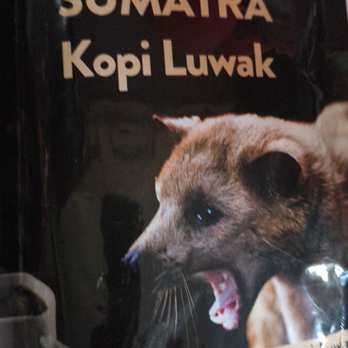 Wild Kopi Luwak coffee premium pack of 19 sachets from Worcas Indonesia