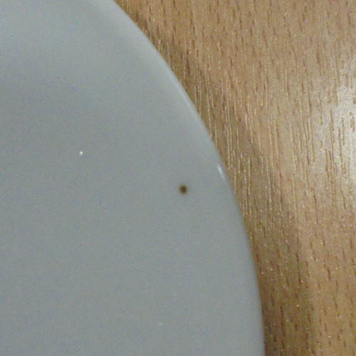 TWA Trans World Airlines old promotional ceramic saucer used