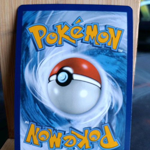 Pokemon Charizard V max Promo new